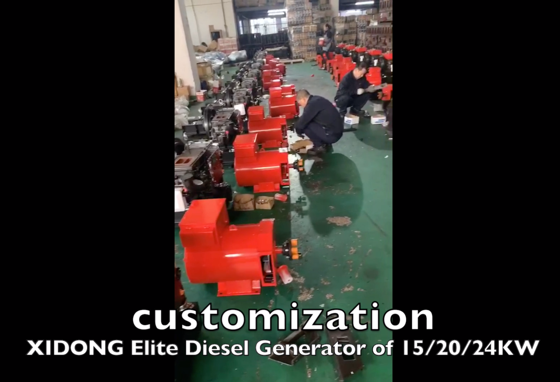 customized Diesel Generator of Elite Model